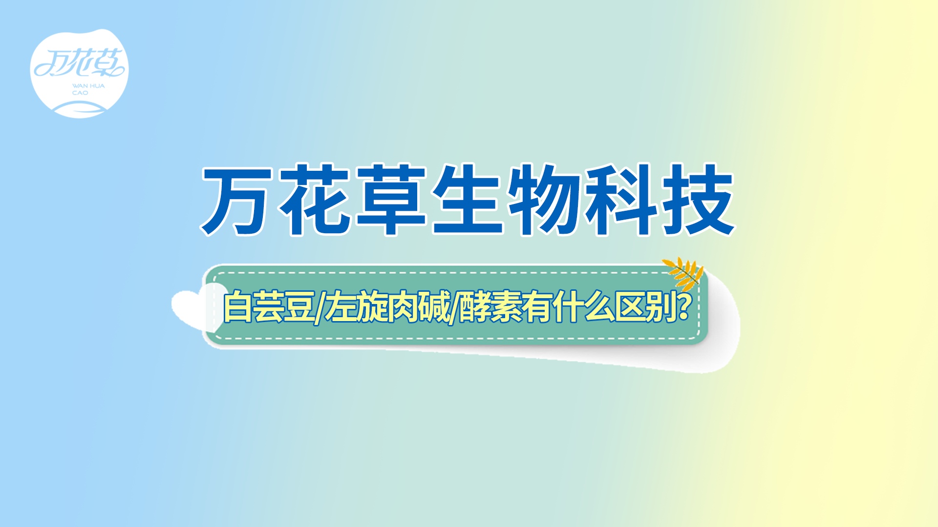 白蕓豆、左旋肉堿、嗨吃酵素有什么區(qū)別？